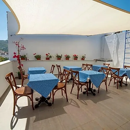 9bodrum