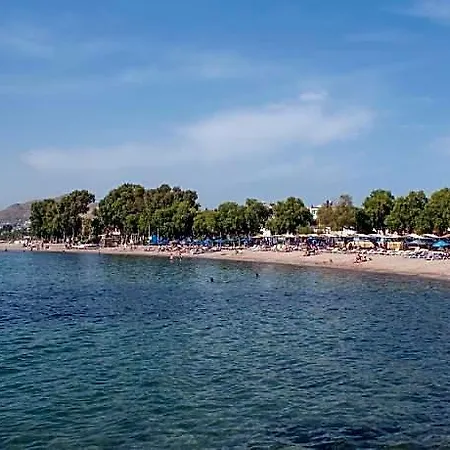 9bodrum 3* Turgutreis