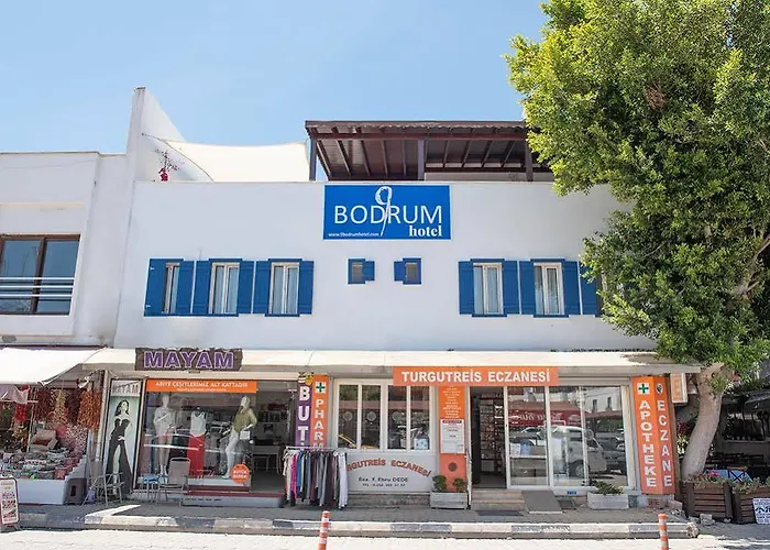 9bodrum 3* 图尔古特雷斯