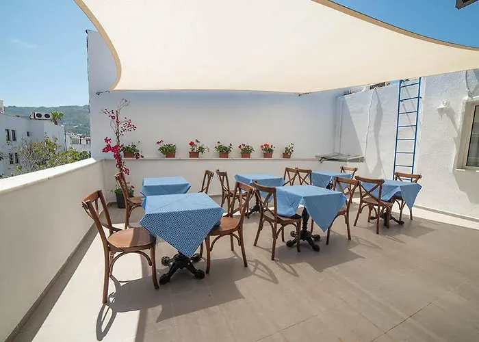 9bodrum 3* 图尔古特雷斯