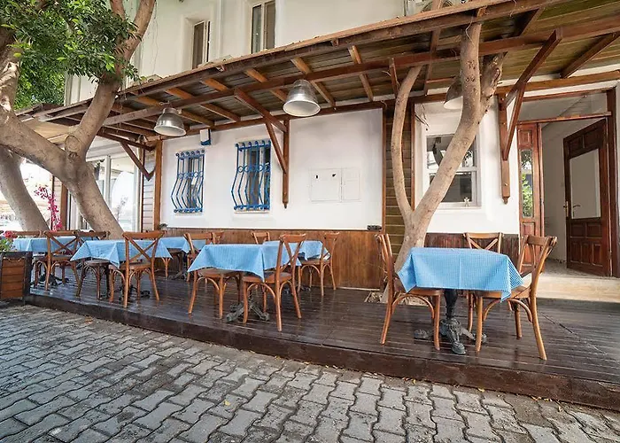 9bodrum 图尔古特雷斯