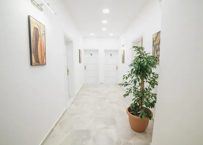 9bodrum 3* 图尔古特雷斯