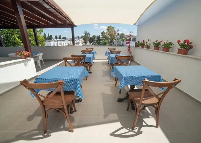 9bodrum 酒店 图尔古特雷斯