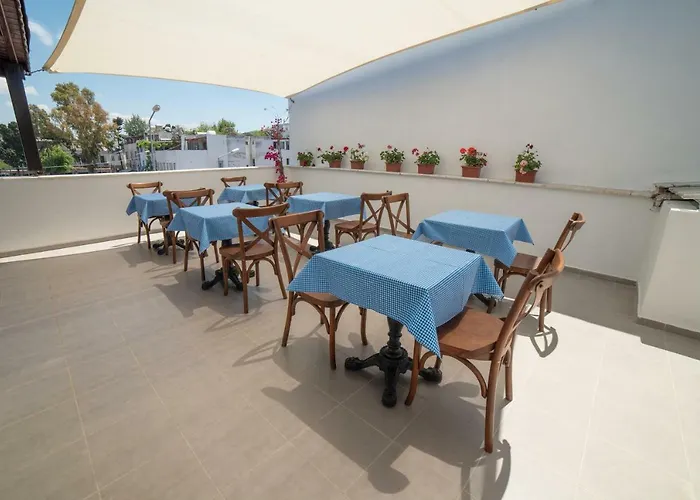 9bodrum 3* 图尔古特雷斯