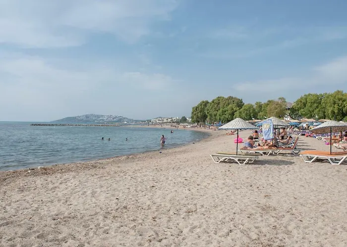 9bodrum 图尔古特雷斯